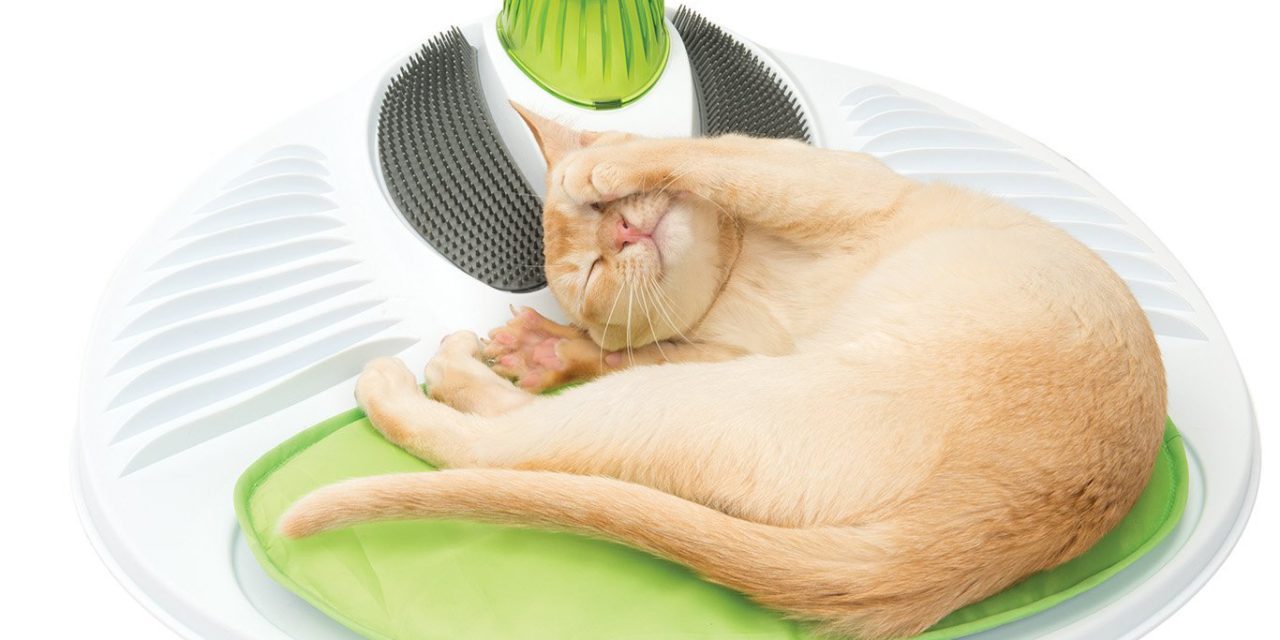 Can’t find the right cat toy? We got the perfect one for you!